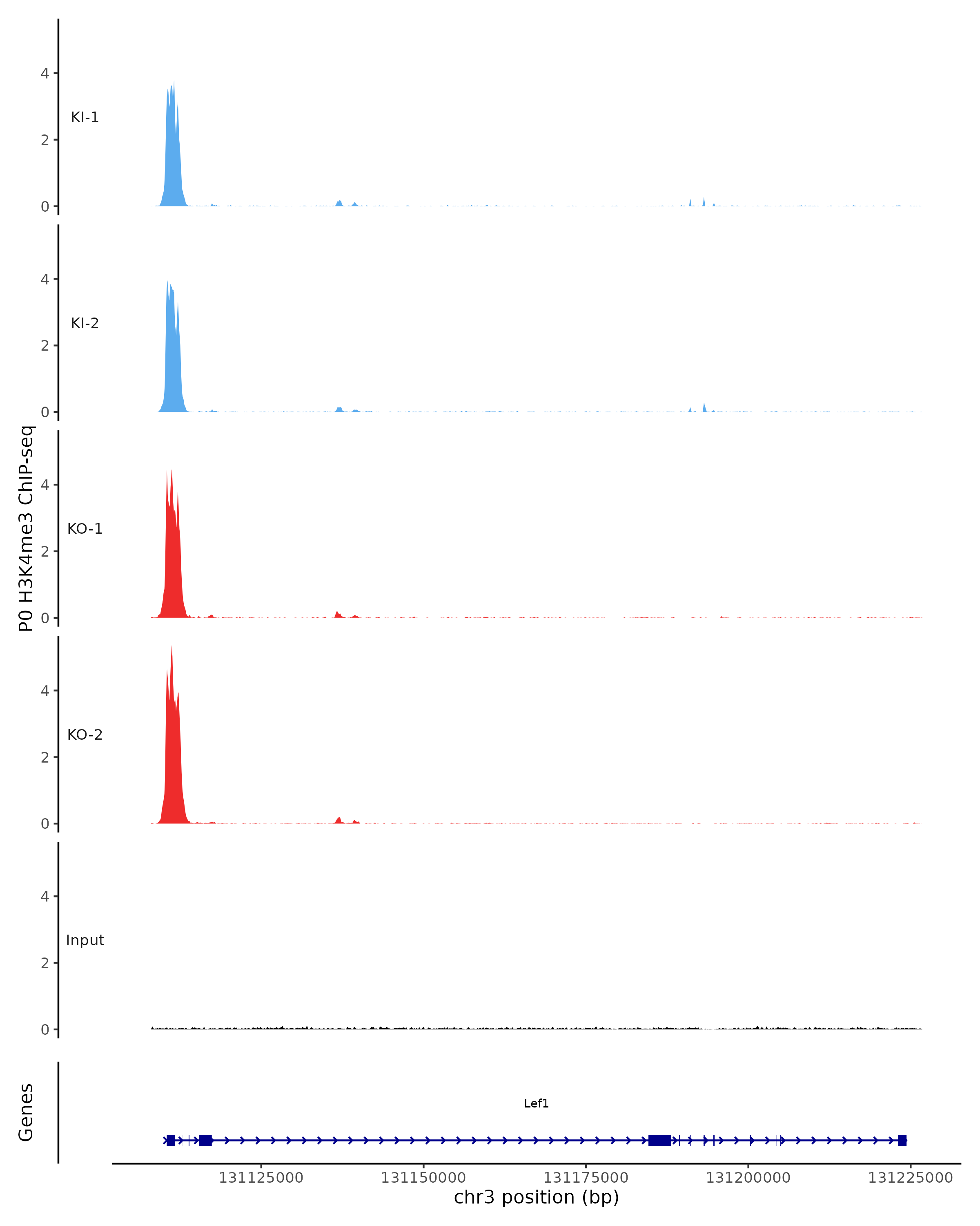 Lef1 KI, KO, WT LEF1 RNA UMAP expression plot